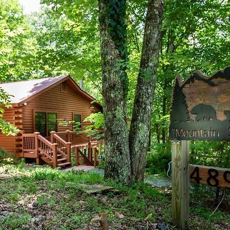 Mountain Spirit Cabin - Fireplace And Hot Tub Vila Blue Ridge Exterior foto