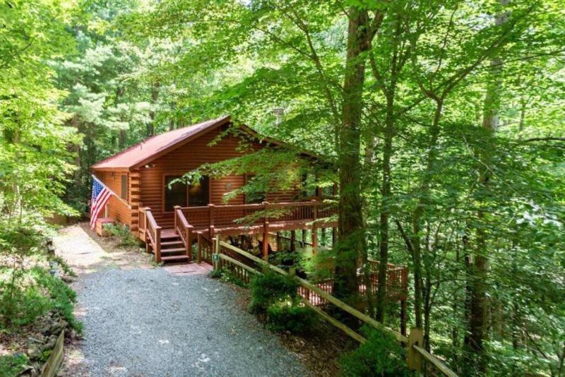 Mountain Spirit Cabin - Fireplace And Hot Tub Vila Blue Ridge Exterior foto