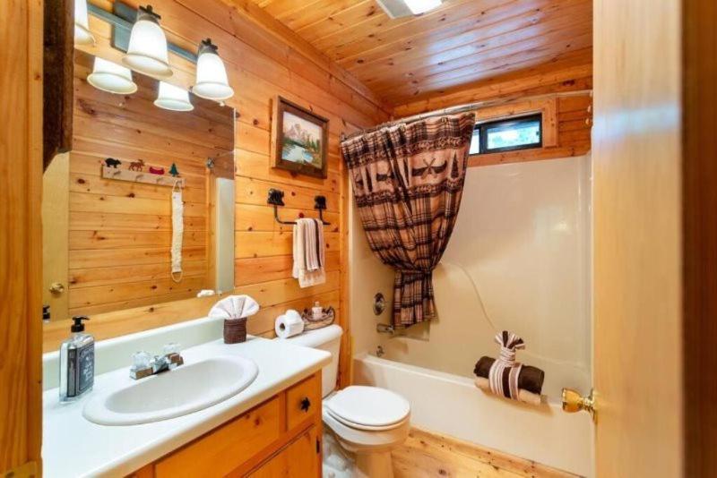 Mountain Spirit Cabin - Fireplace And Hot Tub Vila Blue Ridge Exterior foto